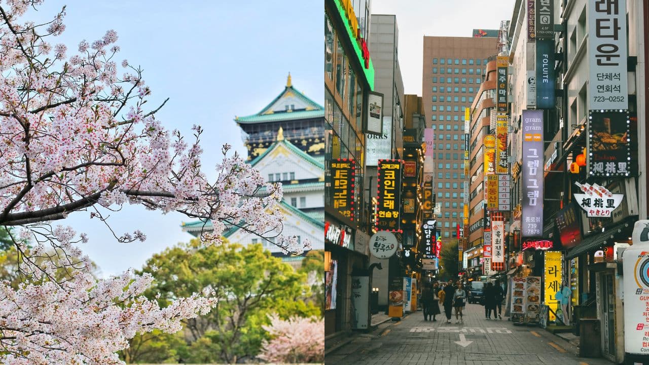 JET vs EPIK: Which Program Is Right for You?