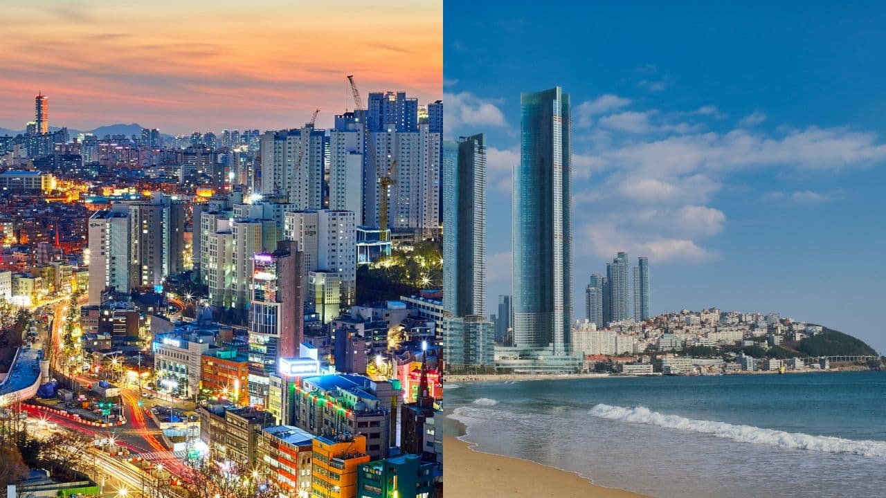 Seoul vs Busan: Where to Teach English