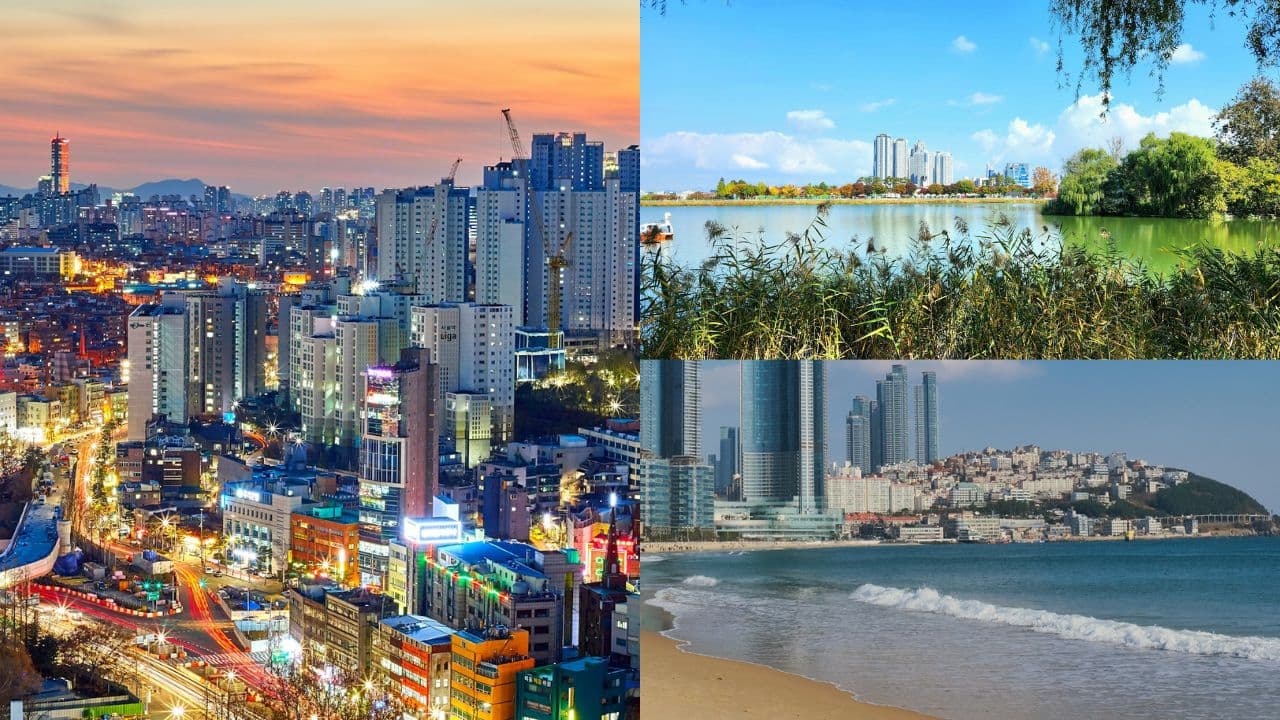 Seoul vs Busan vs Daegu: Where to Teach English