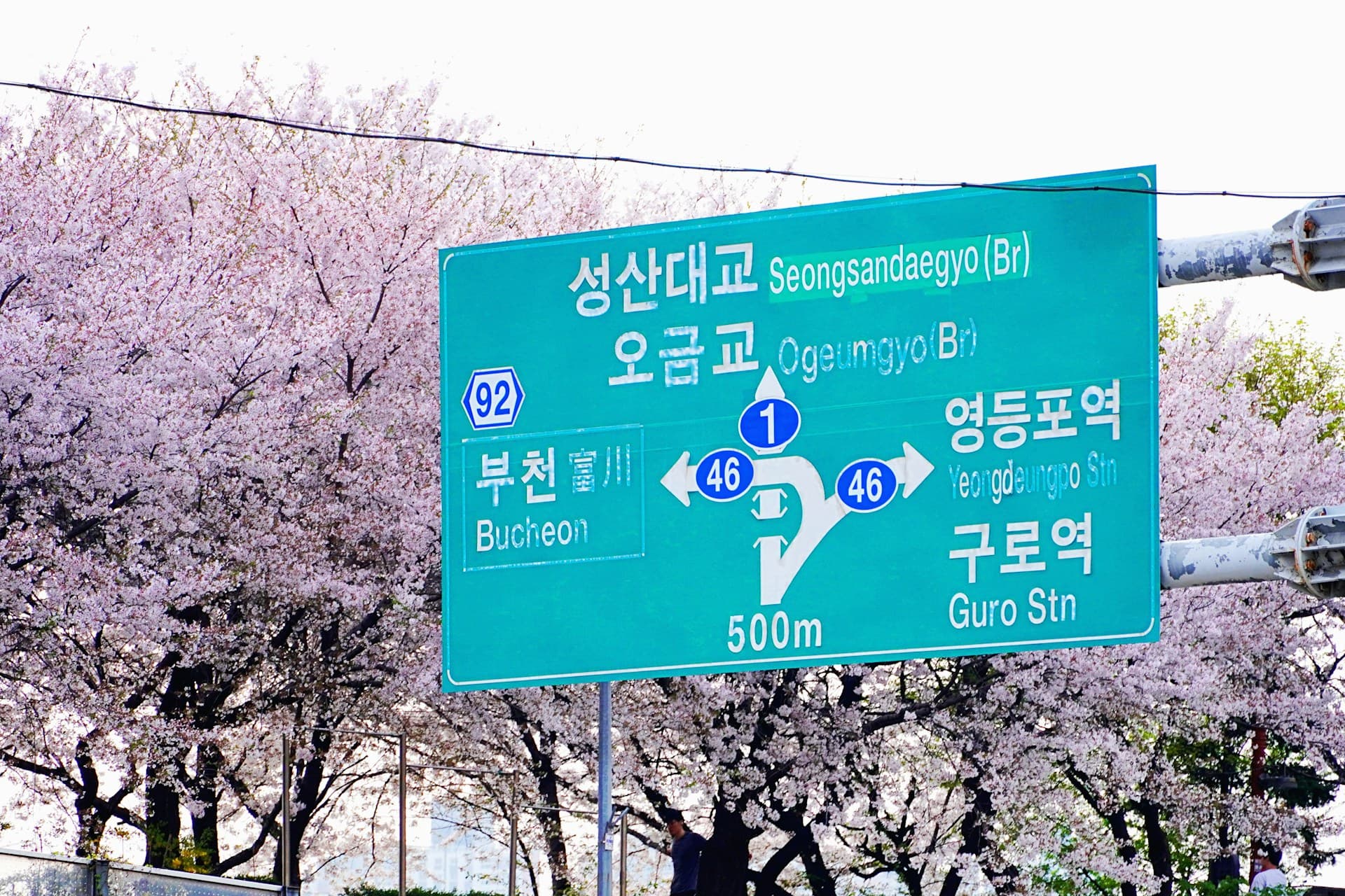 Can you teach English in South Korea without a TEFL?