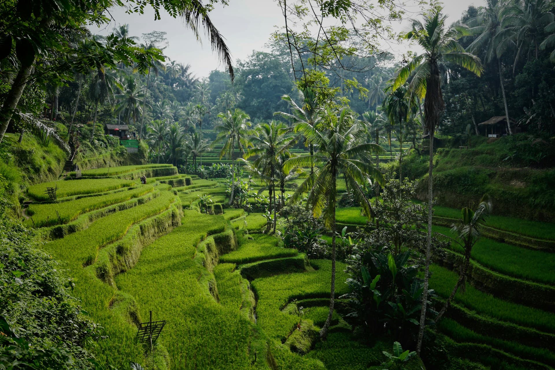 Teach English in Bali, Indonesia