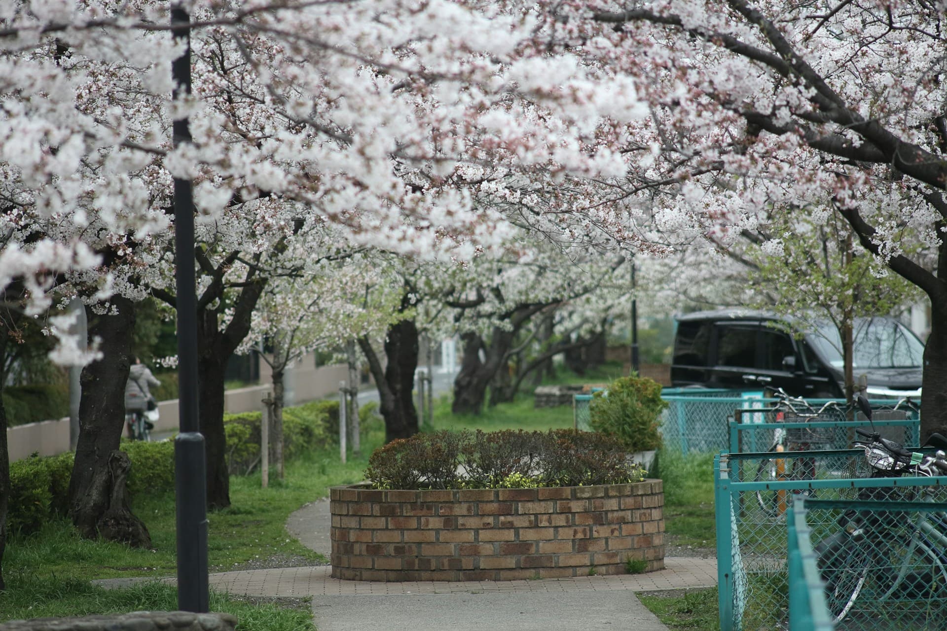 Teach English in Chiba, Japan