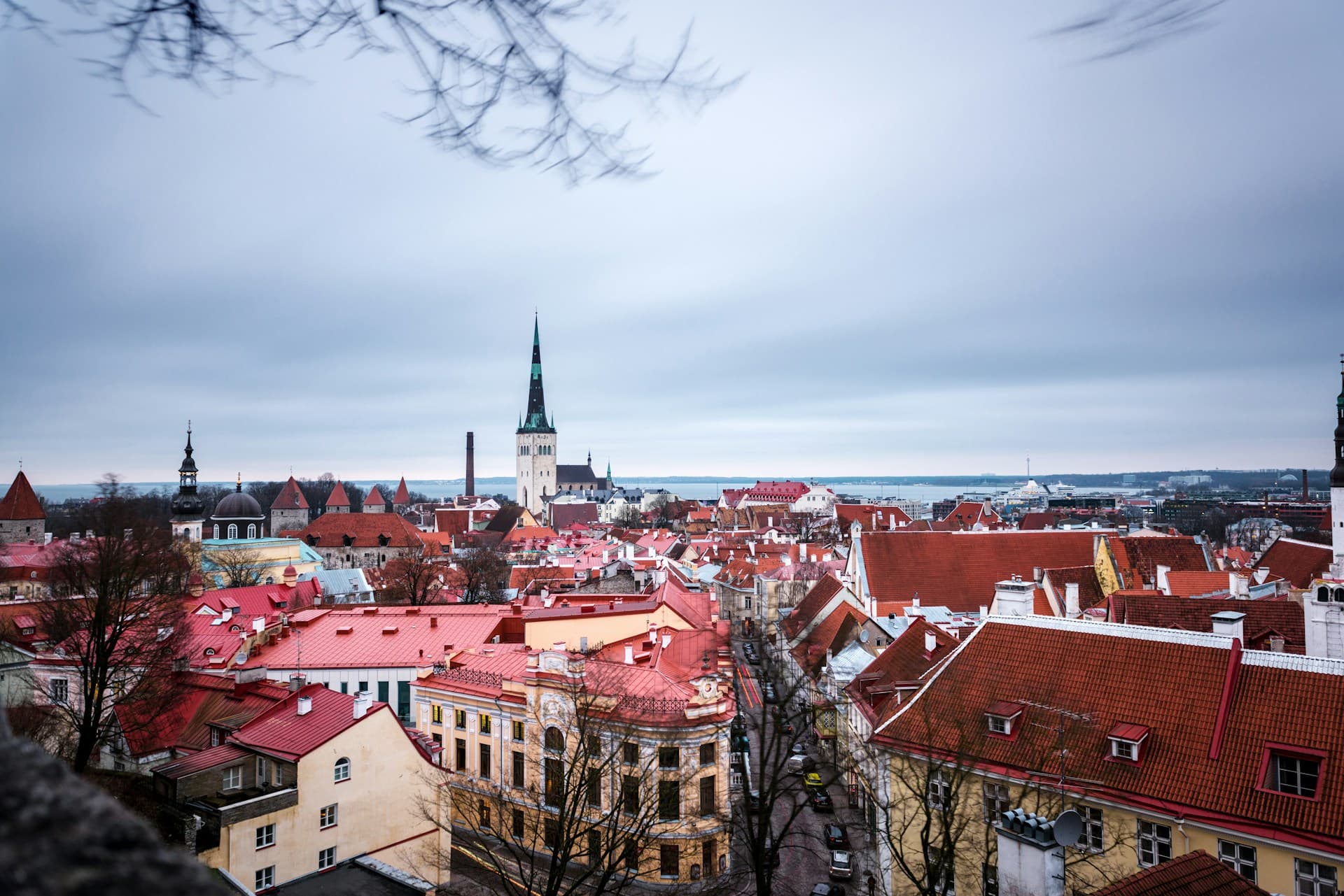 Teach English in Estonia: Requirements, Salary, Jobs