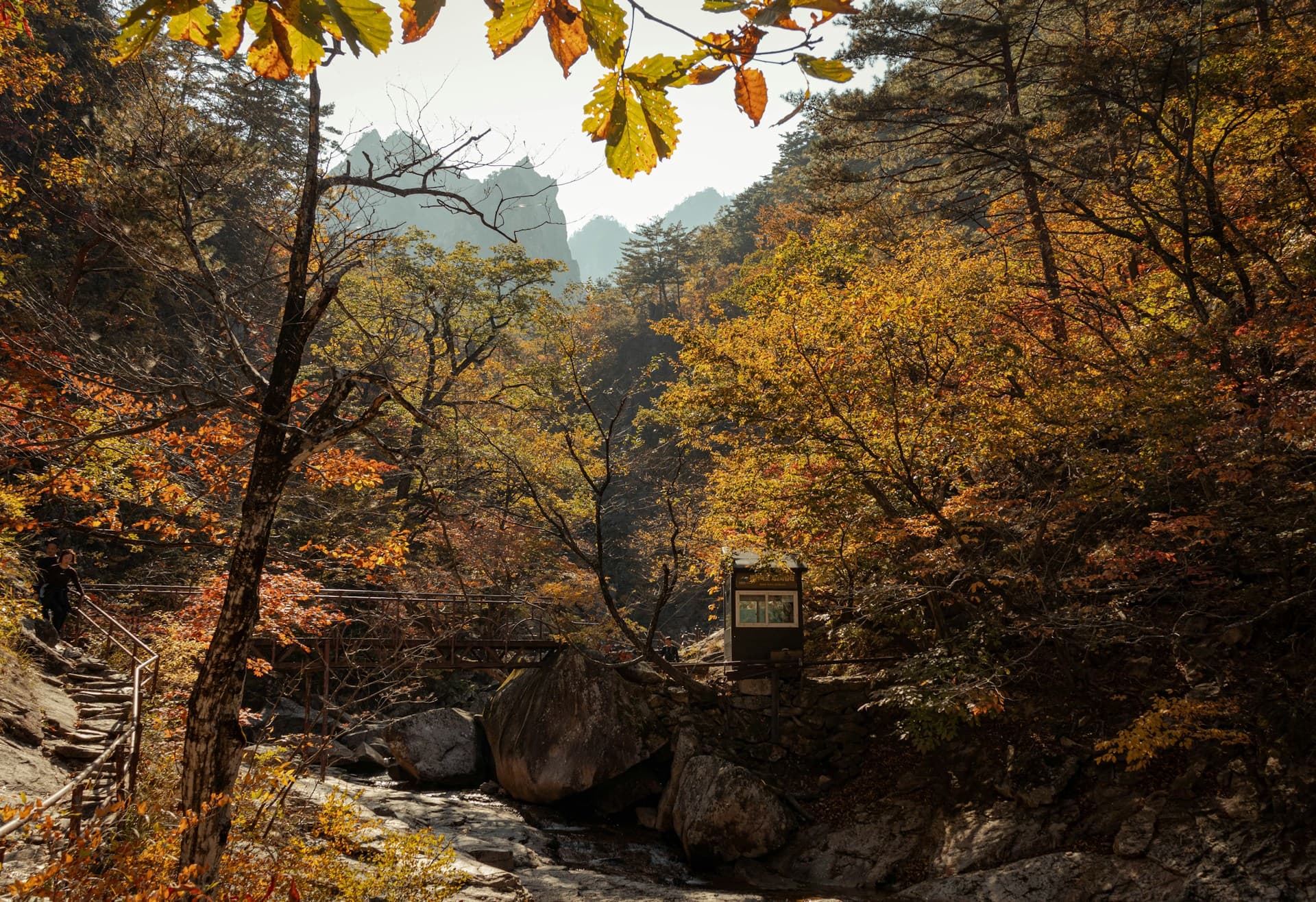Teach English in Gangwon, South Korea