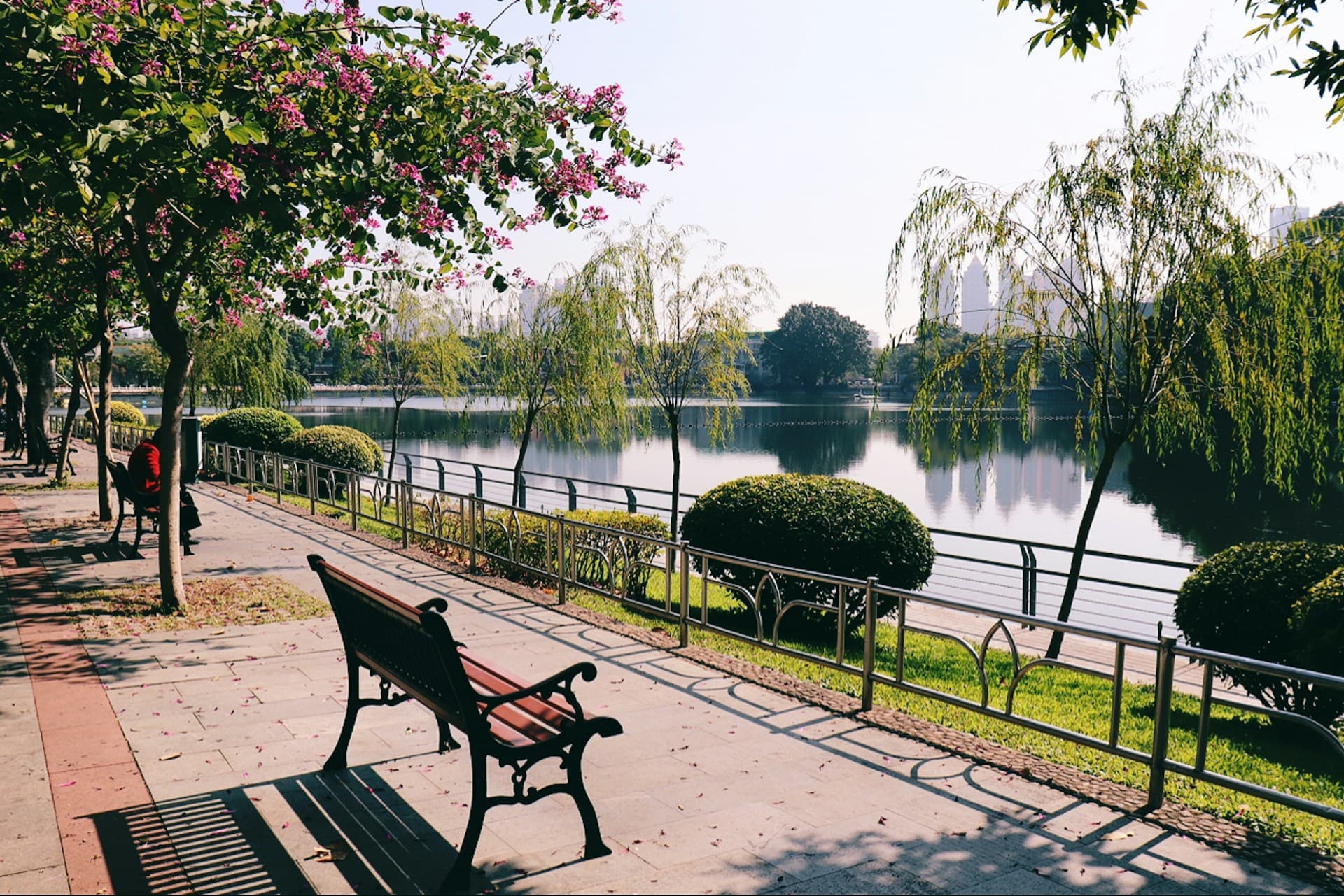 Teach English in Guangzhou, China