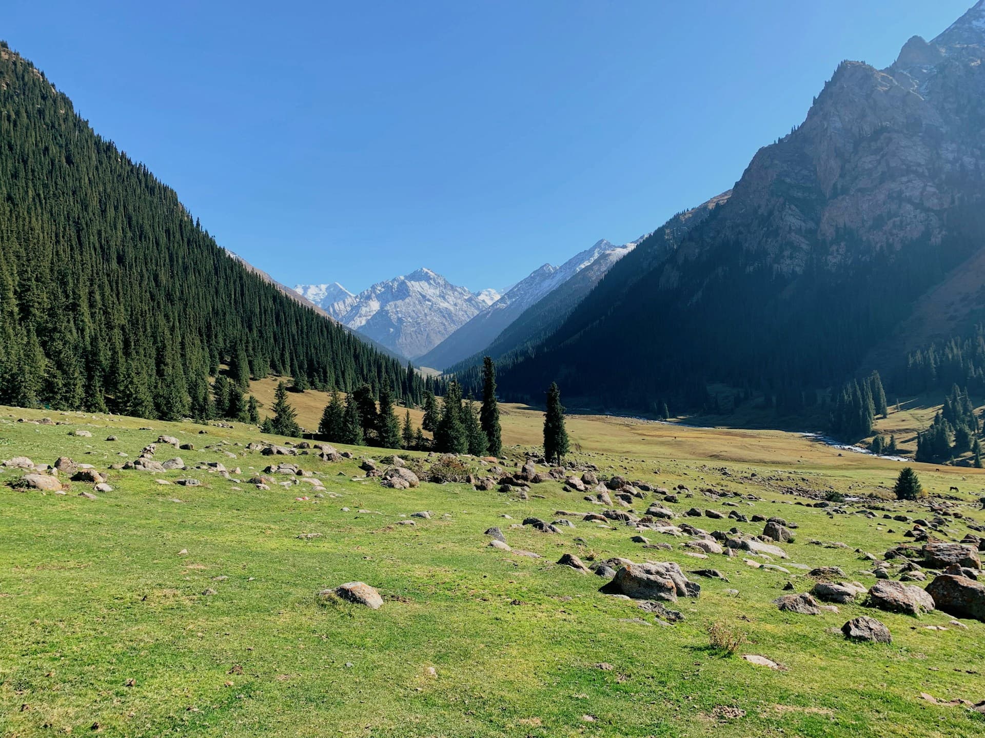 Teach English in Kyrgyzstan: Requirements, Salary, Jobs