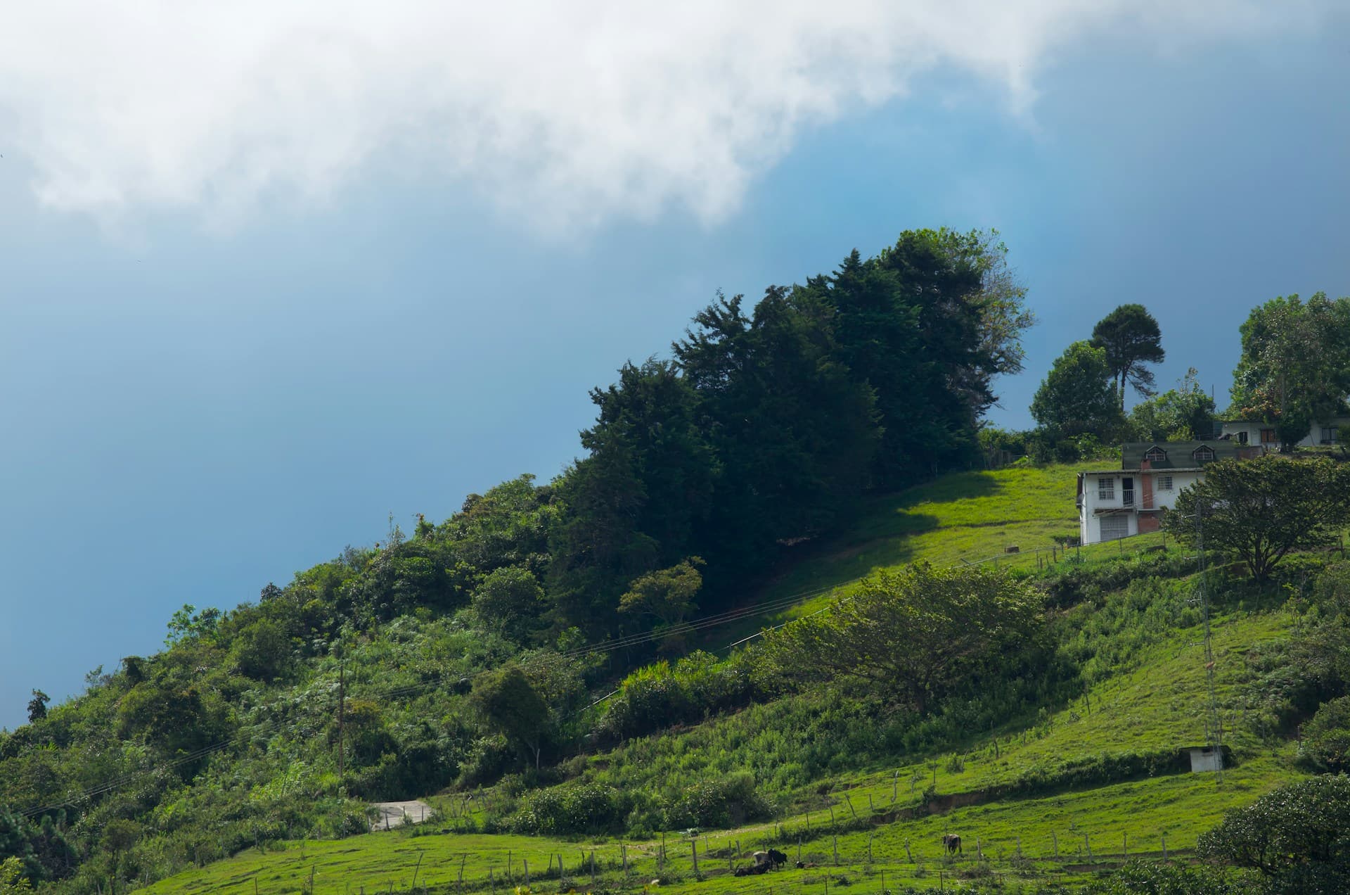 Teach English in Merida, Mexico