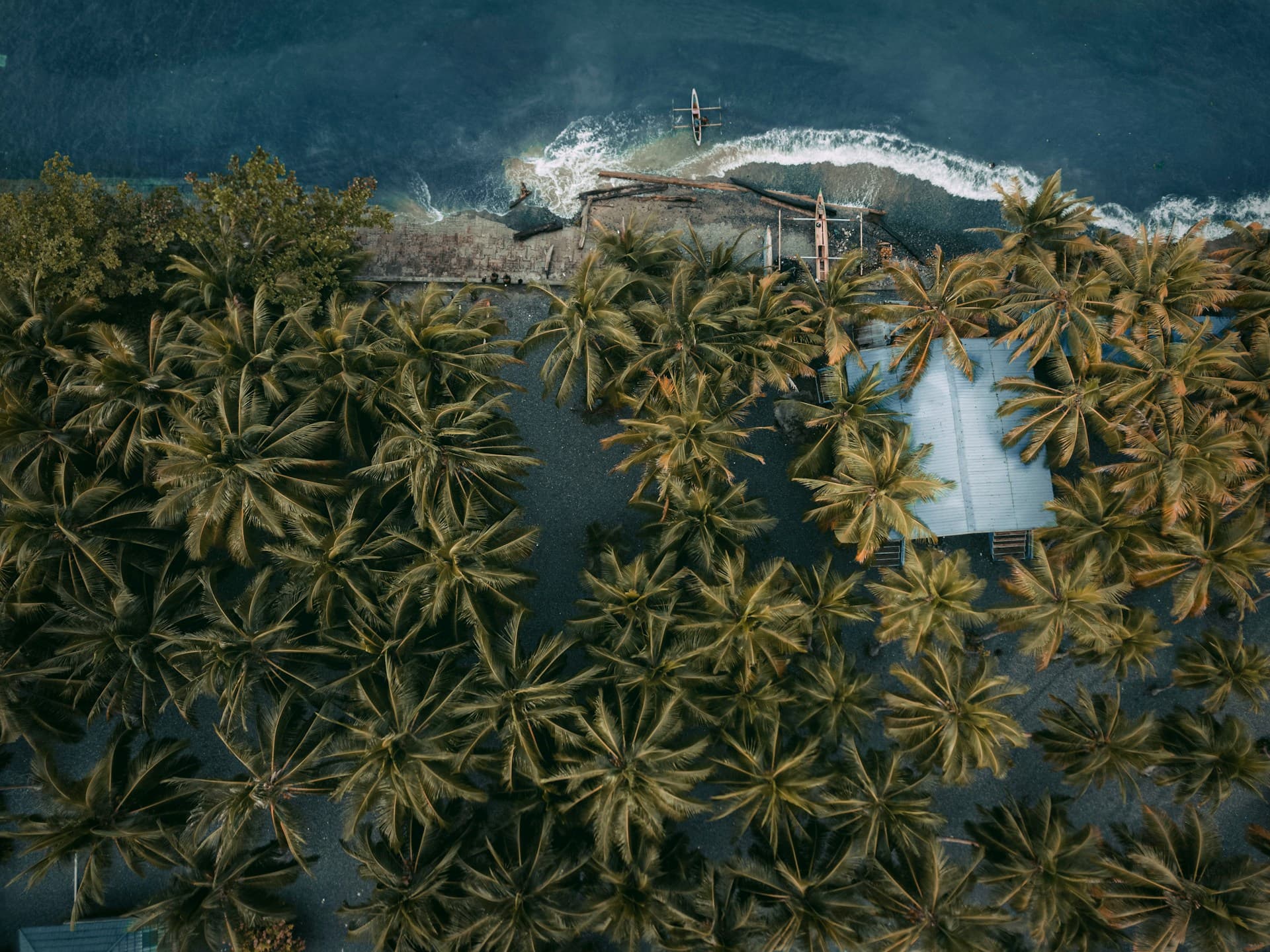 Teach English in Papua New Guinea: Requirements, Salary, Jobs