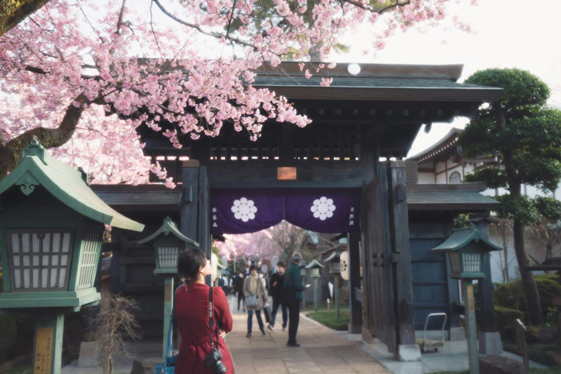 Teach English in Saitama, Japan