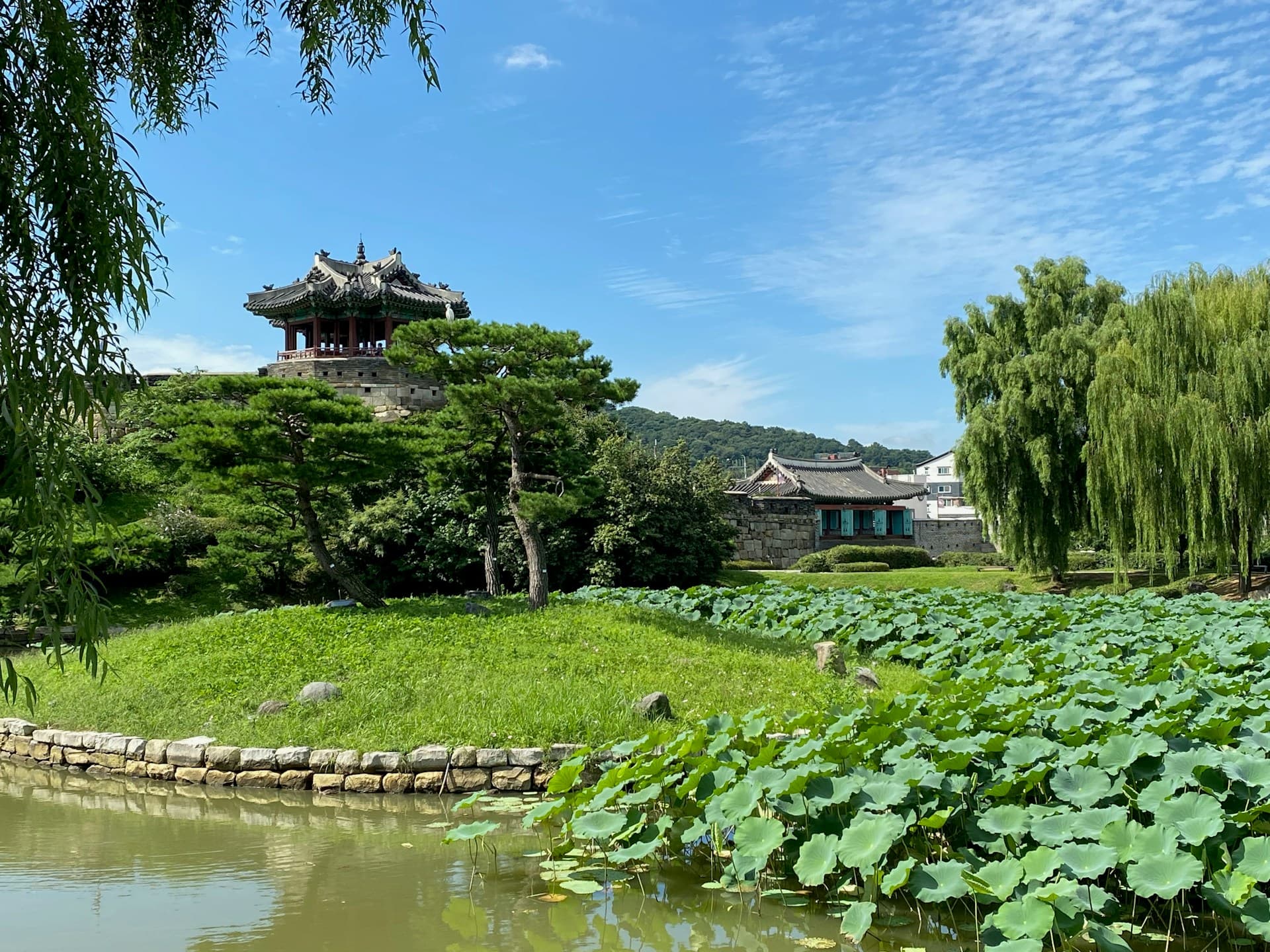 Teach English in Suwon, South Korea